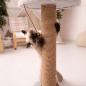 a cat playing with a scratching post in a living room